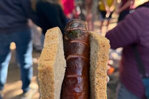 Uczniowie uczestniczą w zajęciach