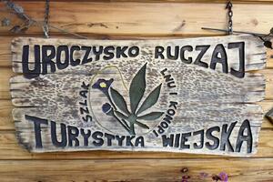 Uczniowie uczestniczą w zajęciach